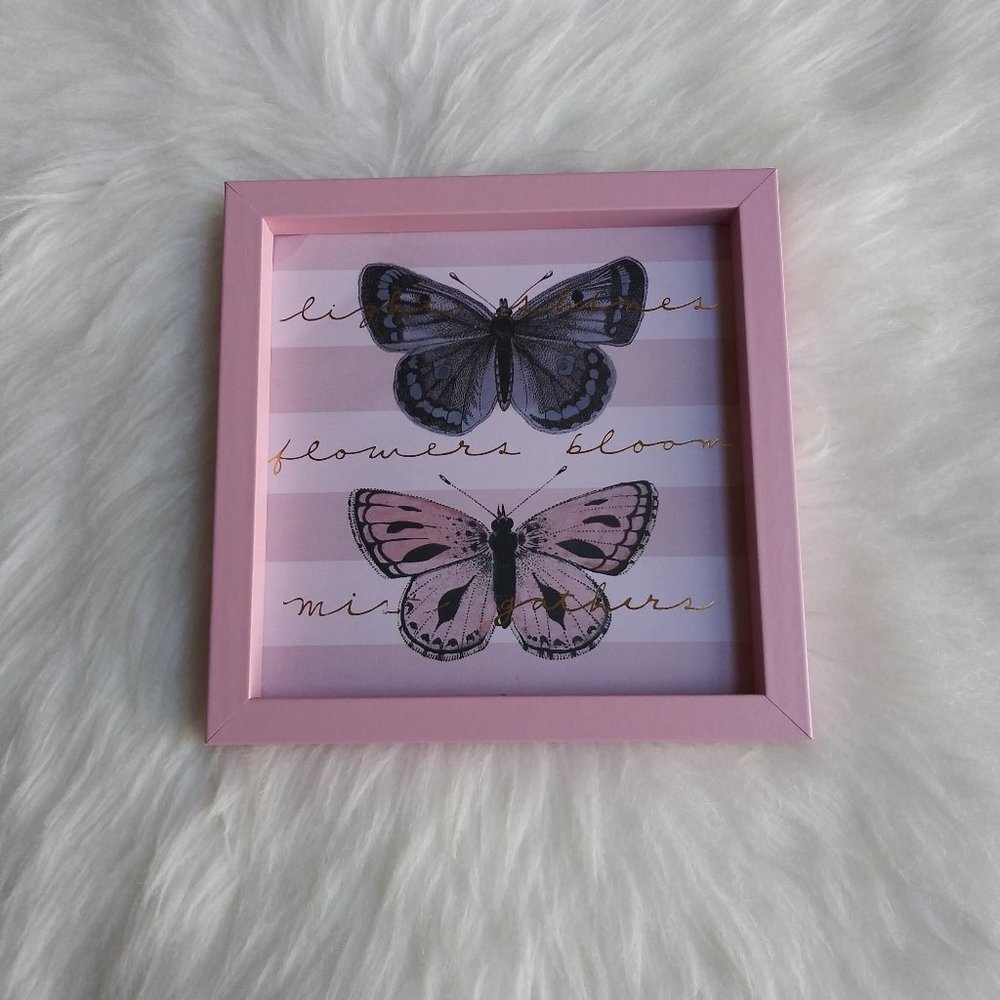 CCO Handmade Butterfly Shadow Box Decor